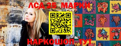 соль ск Сланцы