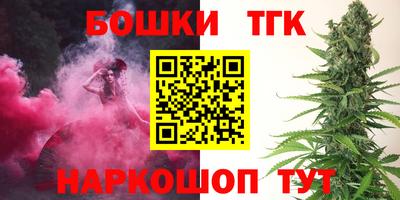 дмт Славгород