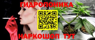 дмт Славгород