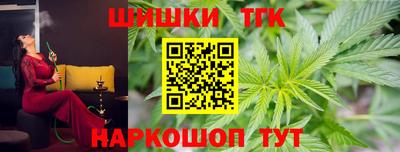 дмт Славгород