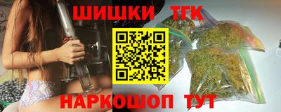 дмт Славгород
